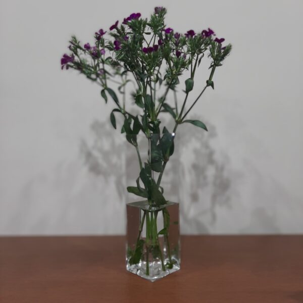 florero rectangular grande - Imagen 2