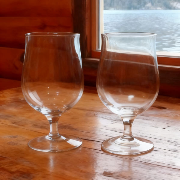 Copa de cerveza x6 Patagonia
